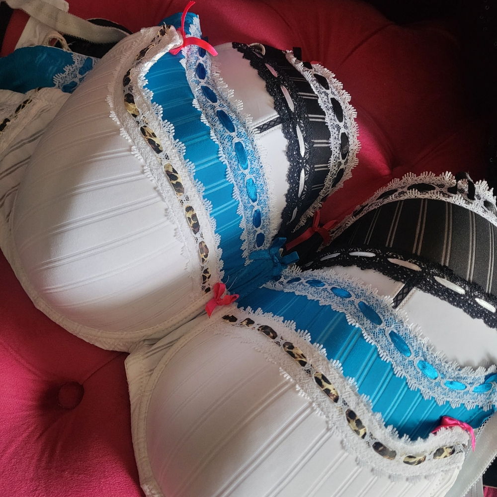 Elegant Lace Trimmed Bra's (Multiple - $13 Each) Blue, Black, To Cheetah Print